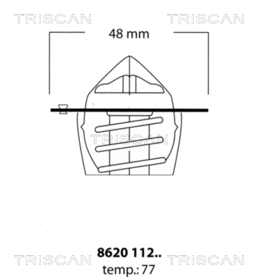 Thermostat d'eau