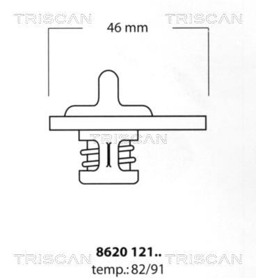 Thermostat d'eau