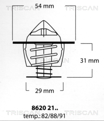 Thermostat d'eau