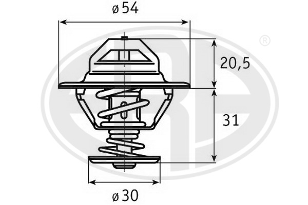 Thermostat d'eau