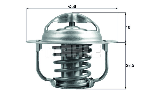 Thermostat d'eau