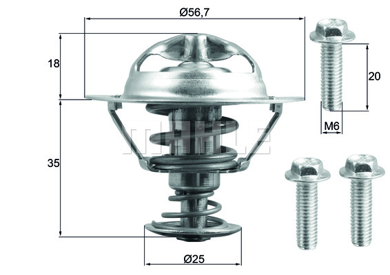 Thermostat d'eau