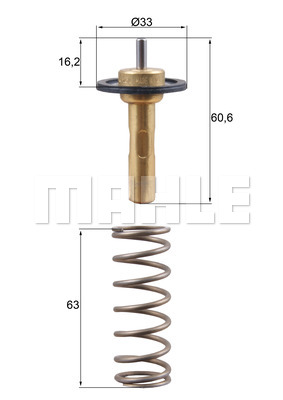 Thermostat d'eau