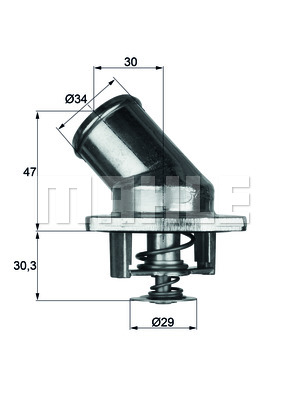 Thermostat d'eau