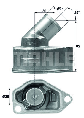 Thermostat d'eau