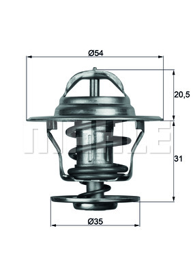 Thermostat d'eau