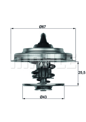 Thermostat d'eau