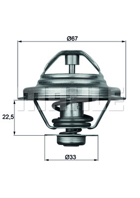 Thermostat d'eau