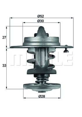 Thermostat d'eau