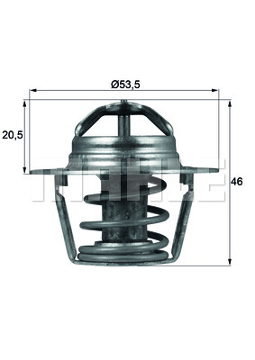 Thermostat d'eau