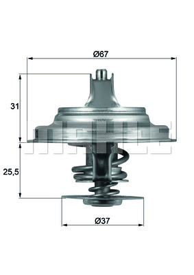 Thermostat d'eau