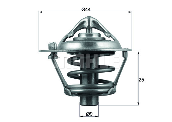 Thermostat d'eau