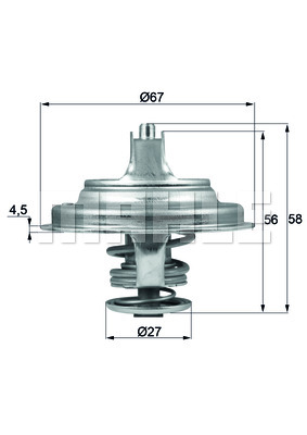 Thermostat d'eau