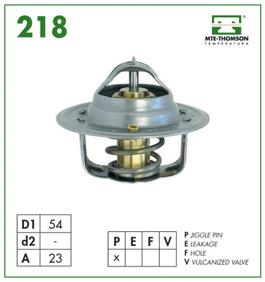 Thermostat d'eau