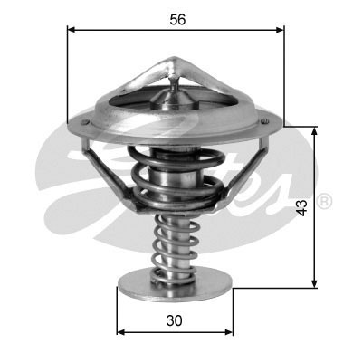 Thermostat d'eau