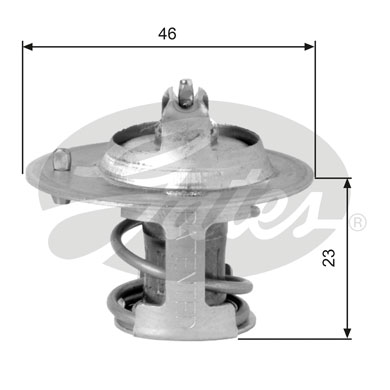 Thermostat d'eau