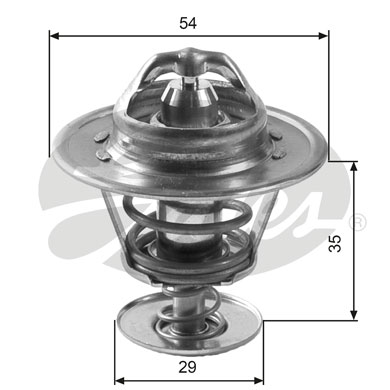 Thermostat d'eau