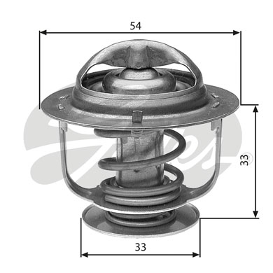 Thermostat d'eau