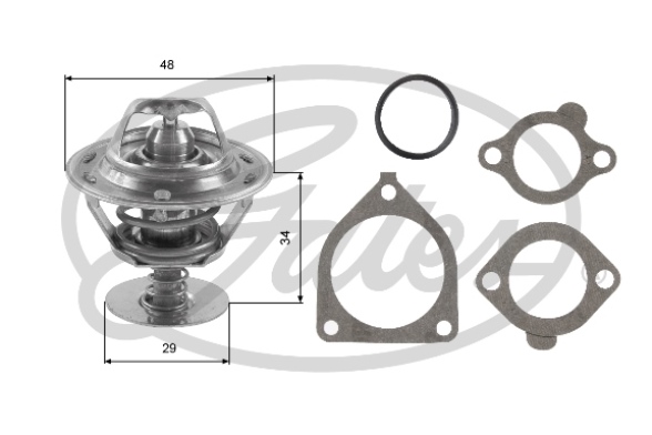 Thermostat d'eau