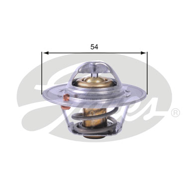 Thermostat d'eau