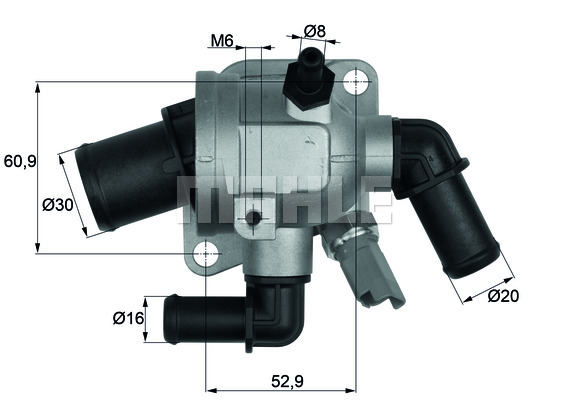 Thermostat d'eau