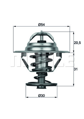 Thermostat d'eau