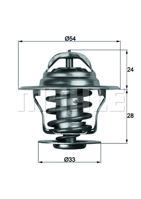 Thermostat d'eau