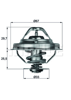 Thermostat d'eau