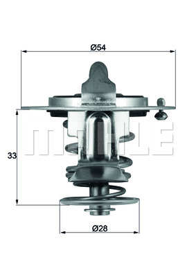 Thermostat d'eau