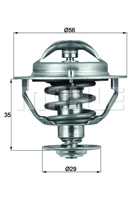 Thermostat d'eau