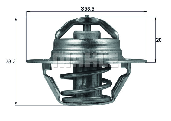 Thermostat d'eau