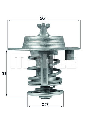 Thermostat d'eau