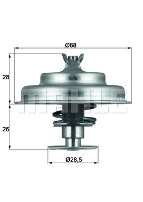 Thermostat d'eau