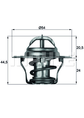 Thermostat d'eau