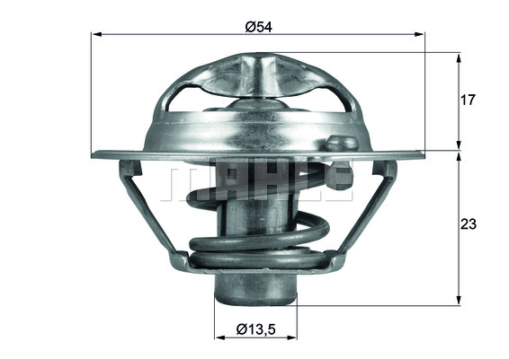 Thermostat d'eau