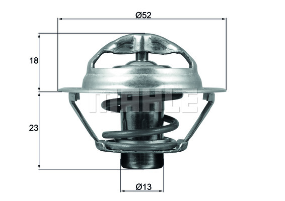 Thermostat d'eau