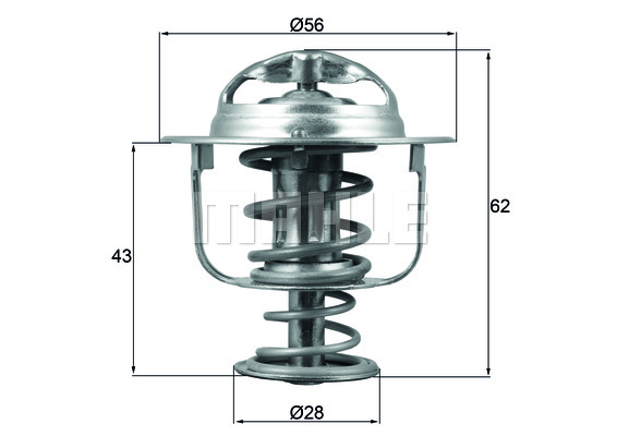 Thermostat d'eau