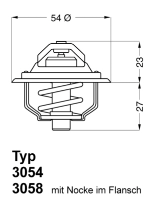 Thermostat d'eau