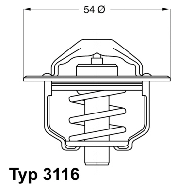 Thermostat d'eau