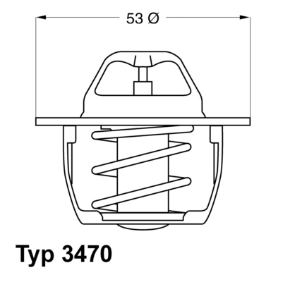 Thermostat d'eau