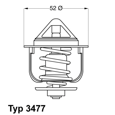 Thermostat d'eau