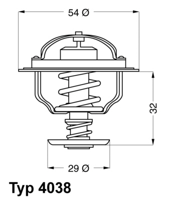 Thermostat d'eau