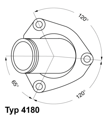 Thermostat d'eau