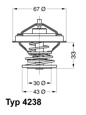 Thermostat d'eau