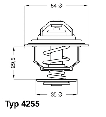 Thermostat d'eau