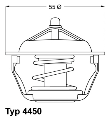 Thermostat d'eau